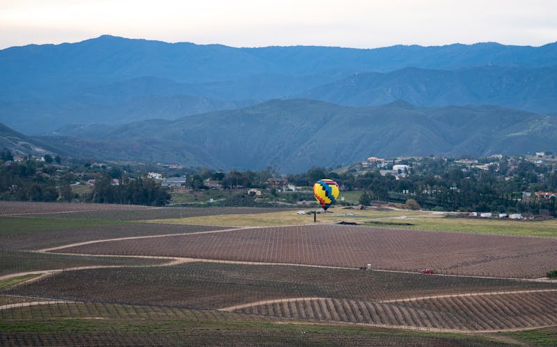 Hot air balloon floating over Temecula wine country vineyards
