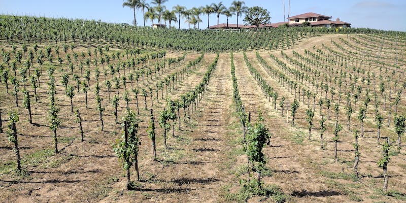 Your Guide to Nearby Wineries & Wine Country